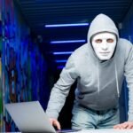 The Rise of Sophisticated Scammers Fightback in a Digital World